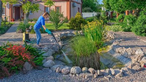 backyard pond maintenance service