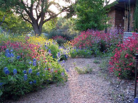 Our prairie garden. photo by Melnee Prairie garden, Garden design, Garden