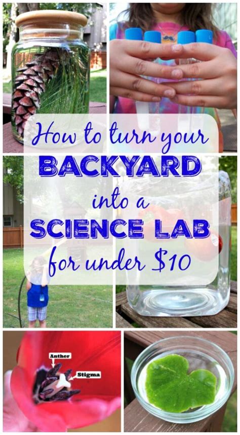 backyard science meaning