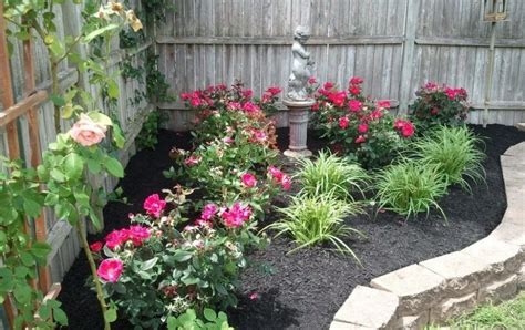 Backyard Small Rose Garden