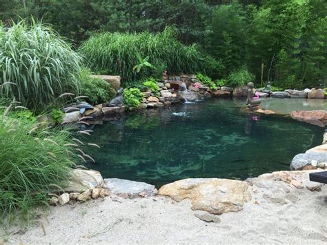 backyard swimming hole