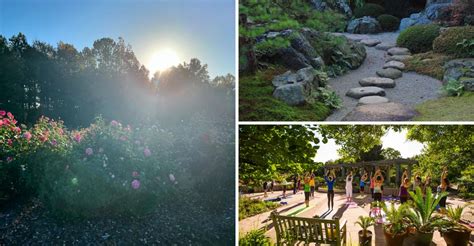 backyard therapy garden