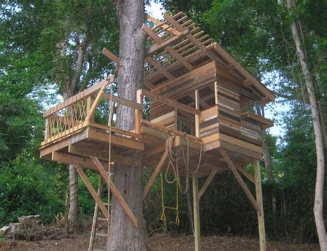 Backyard Treehouse Forts