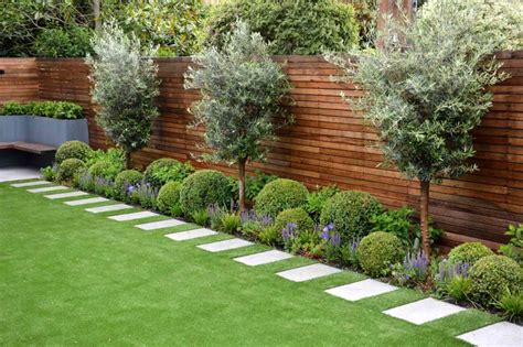 Backyard Trees Ideas