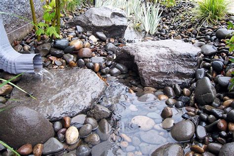 backyard water conservation