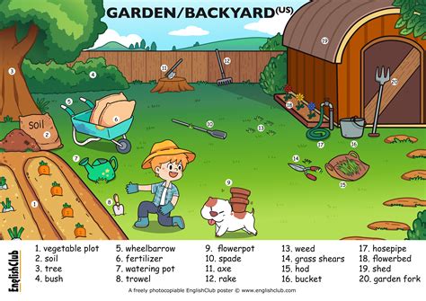 backyard word meaning