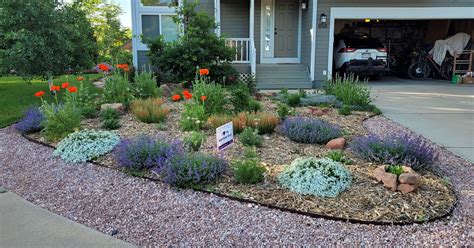 backyard xeriscape designs