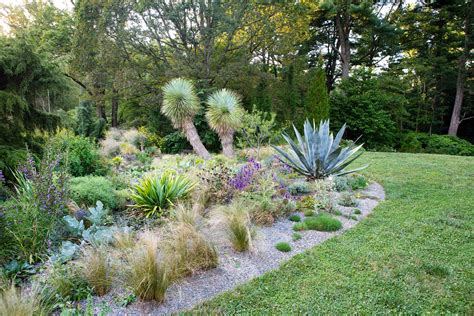 backyard xeriscaping