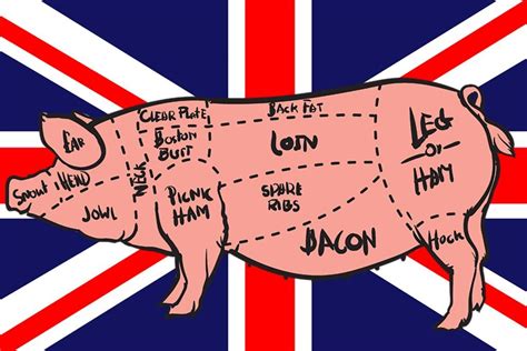 Bacon Definition British