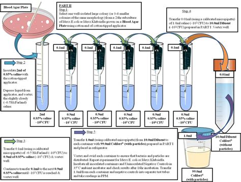 Bacteria Testing Procedure