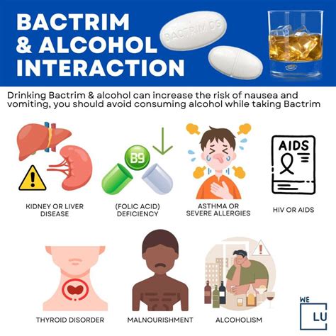 Understanding Bactrim Side Effects: What You Need to Know Before Taking the Antibiotic