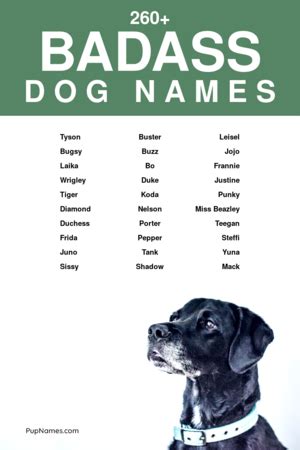 badass dog names that start with c