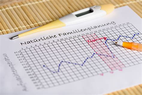 Faltbare Badewanne Für Erwachsene / Treslin Faltbare Badewanne