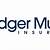 badger mutual agent login