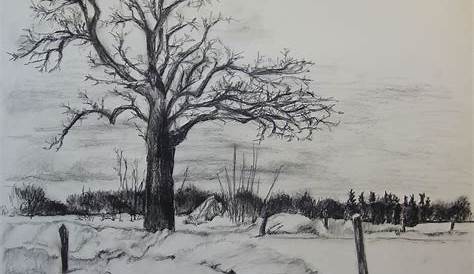 Winterbaum 1 - Baum, Schnee, Winter, Zeichnung von Yvonne Steinfort