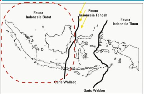 Wallace Lines Part 1 Pictures Indonesia in GlobalGeography