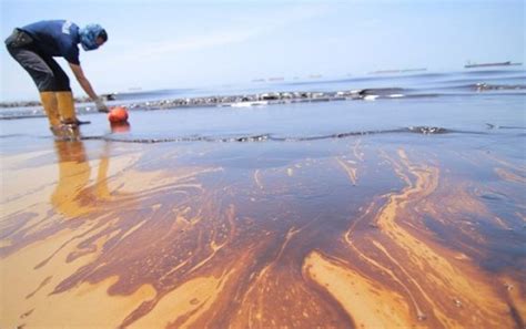 Dampak Pencemaran di Laut Akibat Tumpahan Minyak Halaman 1