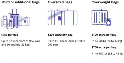 baggage fees united airlines foreign flights