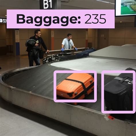 Baggage Movement Firms