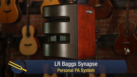 Baggs Synapse Review