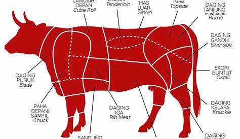 Manfaat Daging Sapi Berdasarkan Kandungan Gizi Lengkap - Blog | My