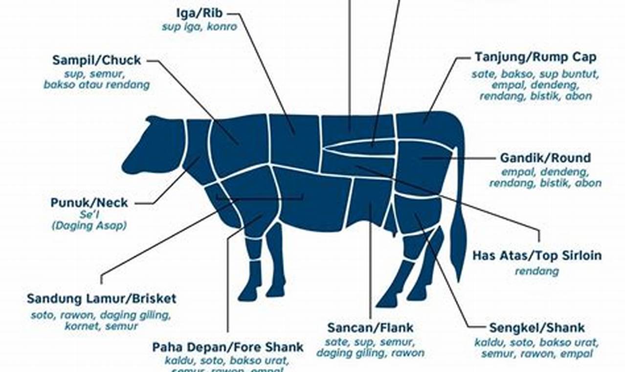 Resep Masakan Bagian Tunjang Sapi: Rahasia Daging Sapi Empuk dan Lezat