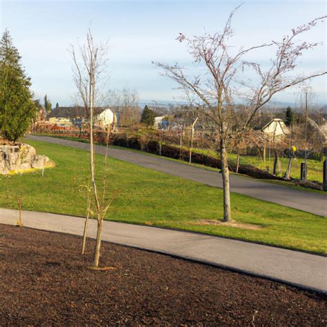 Bagley Downs Vancouver