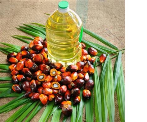 Bahan Baku Crude Palm Oil Bisa Dihitung Menjadi Berbagai Macam Produk Di Industri Kimia Antara Lain
