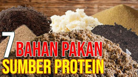Bahan Pakan Sumber Protein Indonesia