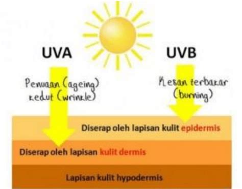 Bahaya Sinar Ultraviolet Bagi Kehidupan