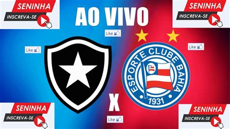 bahia x botafogo ao vivo hd