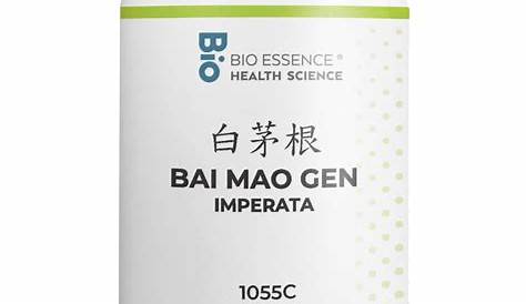 Bai Mao Gen | Imperatae Rhizoma | 白茅根 — shenclinic.com