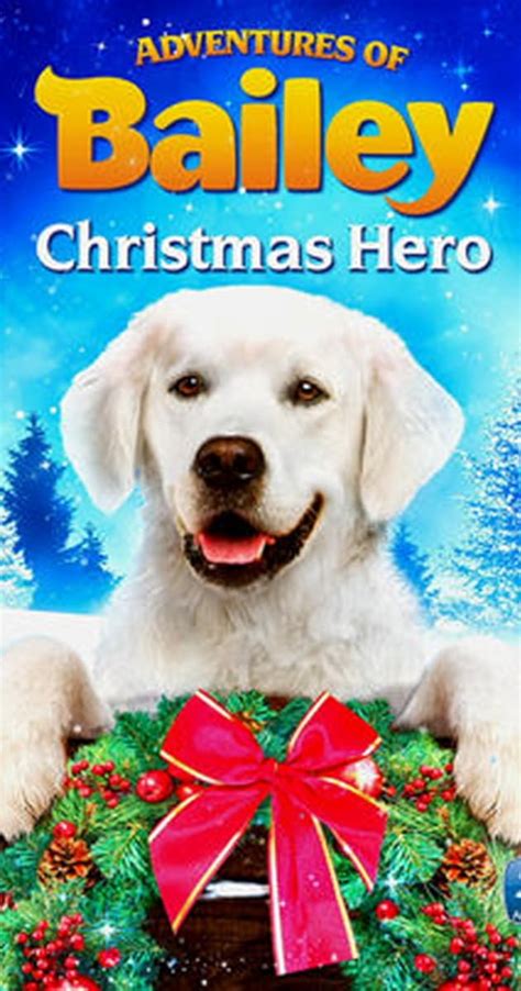 Adventures Of Bailey Christmas Hero Animated, DVD Sanity