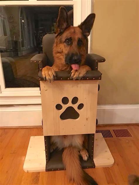 Bailey Chair Large Dog