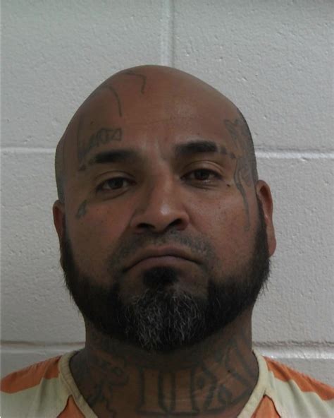 bainbridge arrest reports