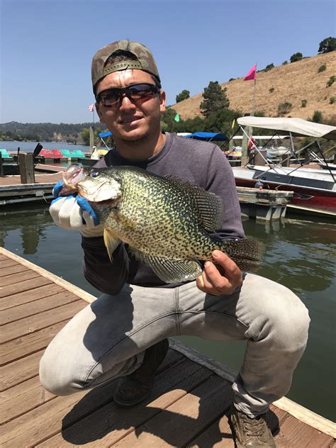 Bait for Lake Chabot Fishing