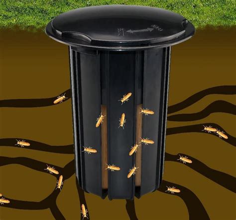 bait system for termites