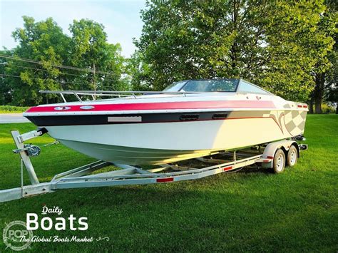 Baja Marine: Unveil Elite Ocean Adventures