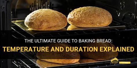 Bake Bread What Temperature