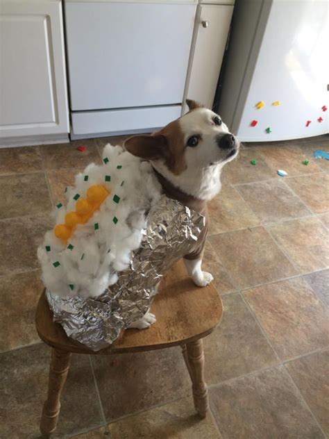 Baked Potato Dog Costume: Two Fun Recipes To Try