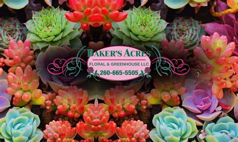 baker's acres florist angola indiana