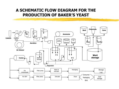 Baker's Yeast Production Process Flow Chart