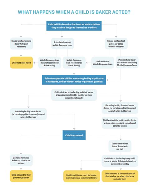 Baker Act Florida Meaning