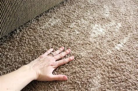 Baking Soda Carpet Mold