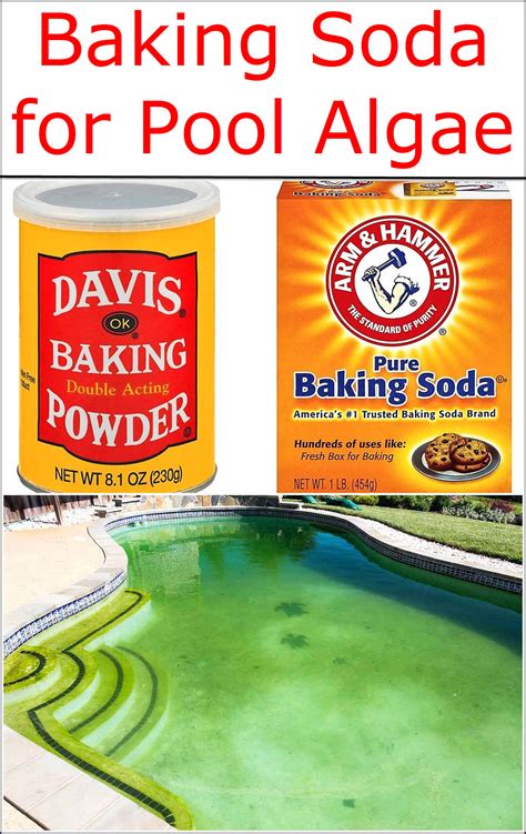 Baking Soda For Pool Algae