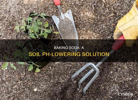 Baking Soda Lawn Ph