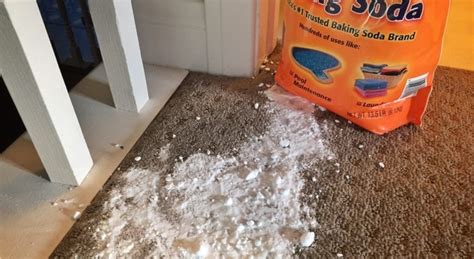 Baking Soda To Vacuum Carpet