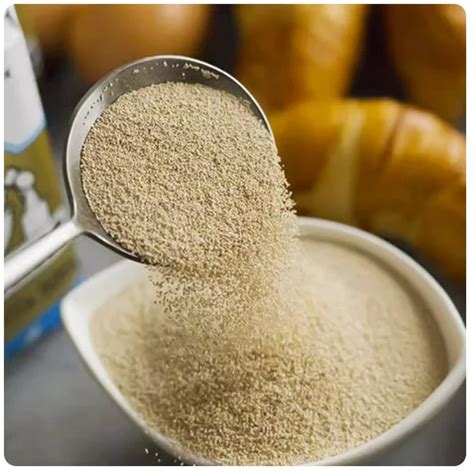 Baking Yeast Made Of