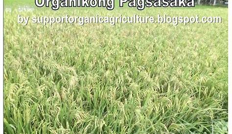 LET'S SUPPORT ORGANIC AGRICULTURE: ANO ANG ORGANIKONG PAGSASAKA