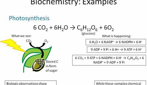 Balanced Chemical Equation For Photosynthesis Notes RJBio1ntbk